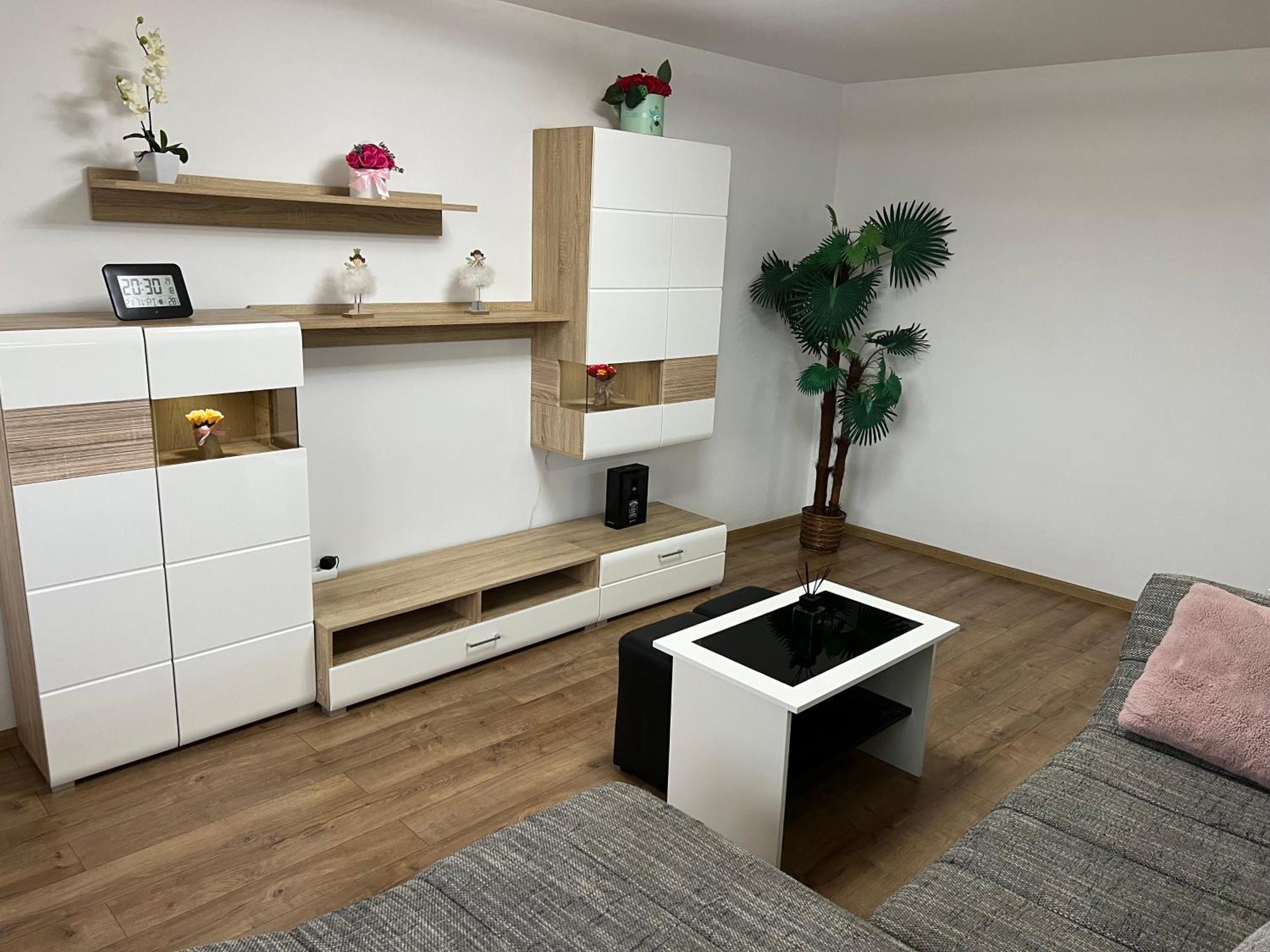 Aparthotel Aurel Vlaicu City Center Cluj-Napoca Eksteriør bilde